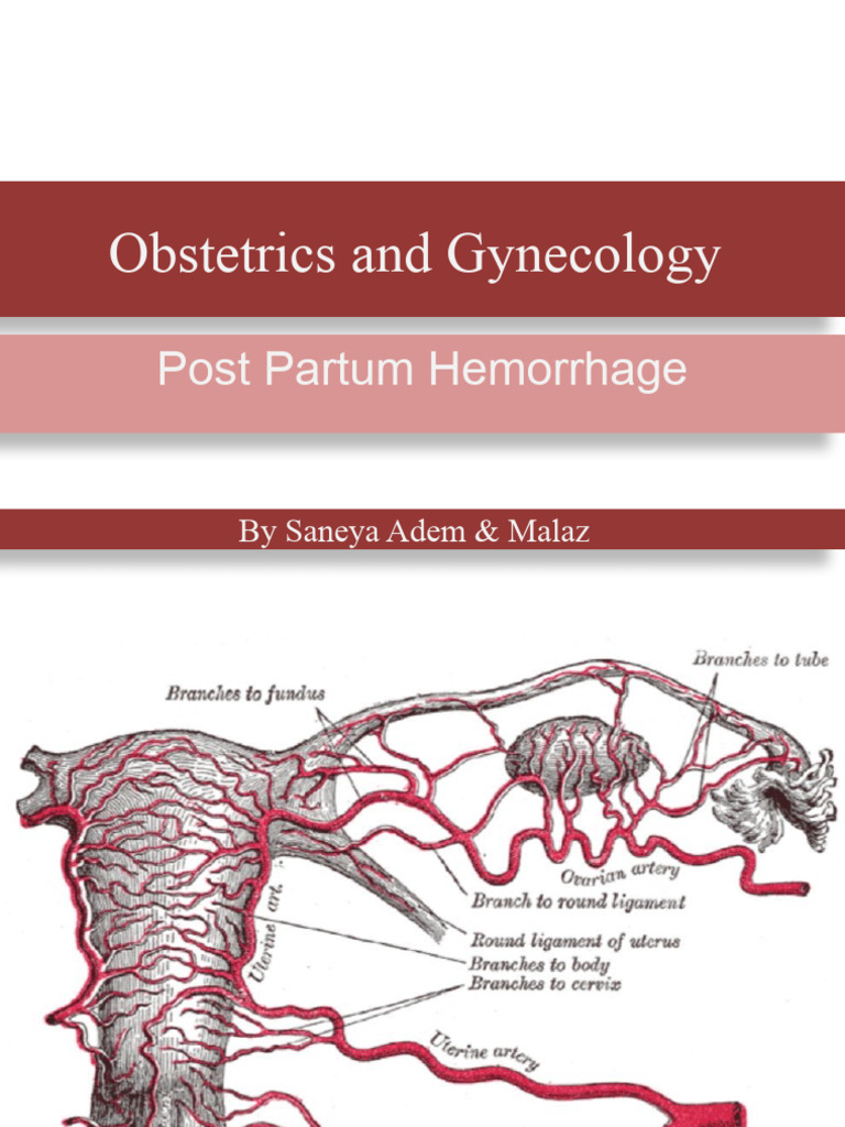 Pph 1 Pdf Childbirth Uterus
