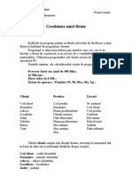 PDF Gestiunea Unei Firme Www.e Referat