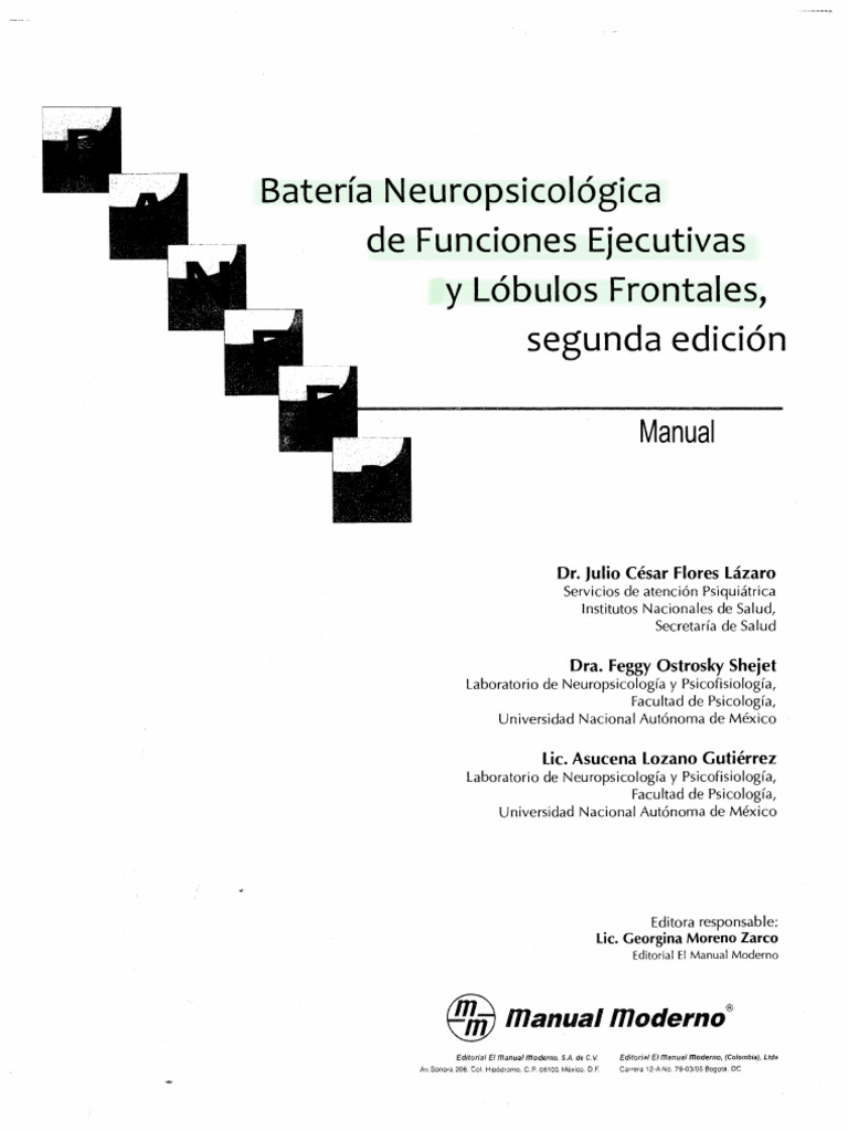 BANFE-2 Manual | PDF