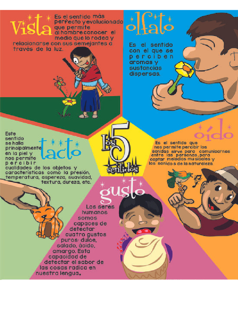 Los 5 Sentidos Pdf