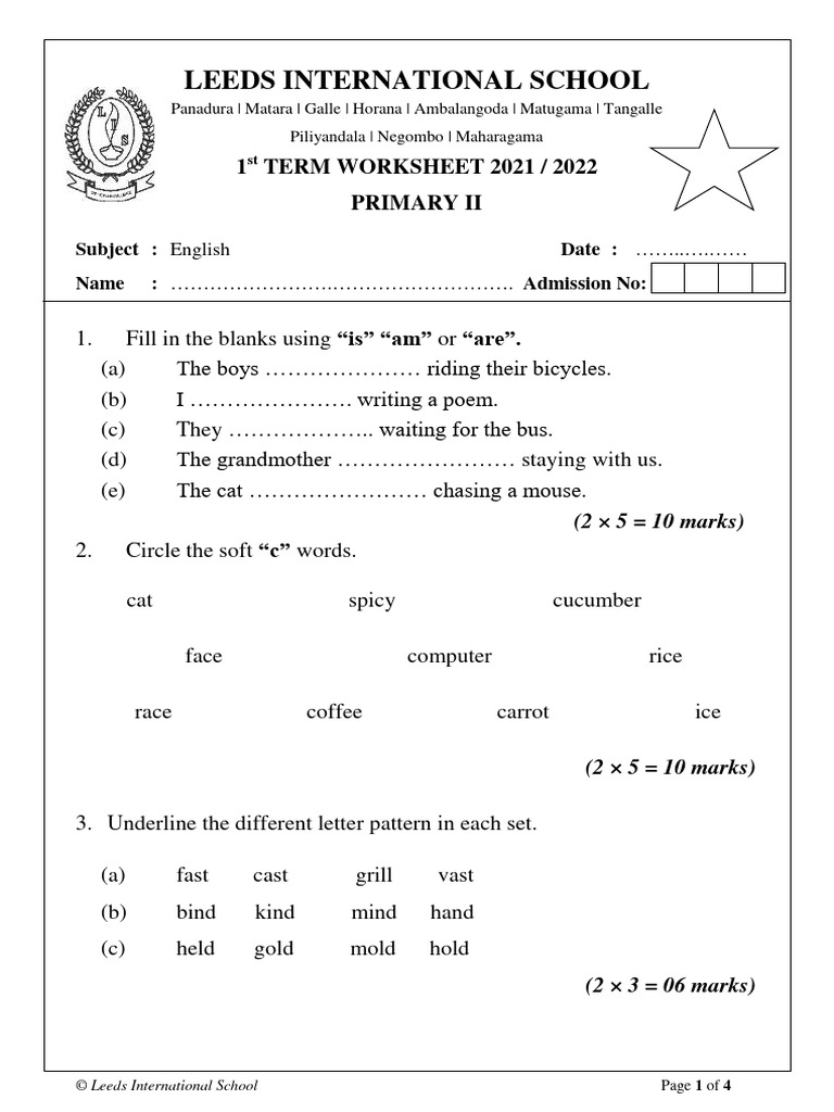 Primary II English Worksheet 2021-2022 | PDF | Linguistic Typology | Syntax