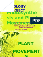 Plant Movement Bio Project