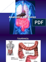 1 Anatomia Del Colon Listoo - Eduardo Alvarez