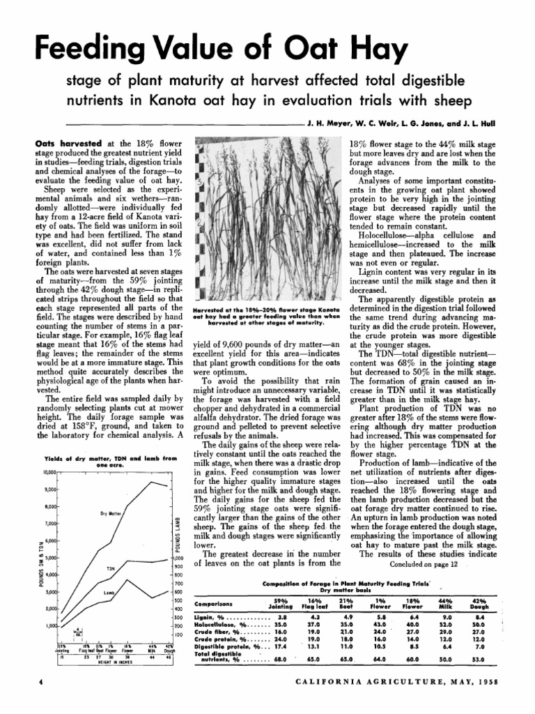Feeding Value of Oat Hay | PDF | Hay | Oat