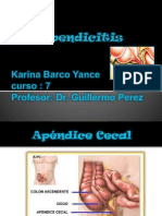 2 Apendicitis-Karina Barco Yance