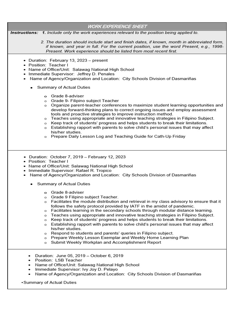 Work Experience Sheet Template