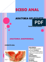 9 Absceso y Fistula Anal - Patricia Gomez Corregido