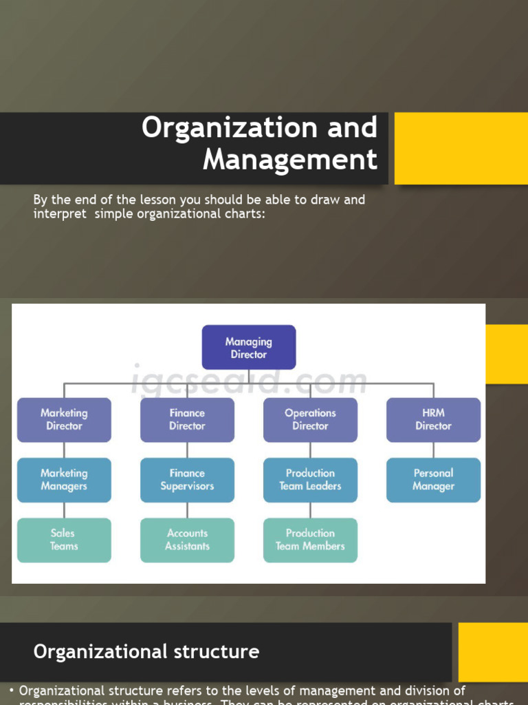 Organisation and Management | PDF | Organizational Structure | Leadership