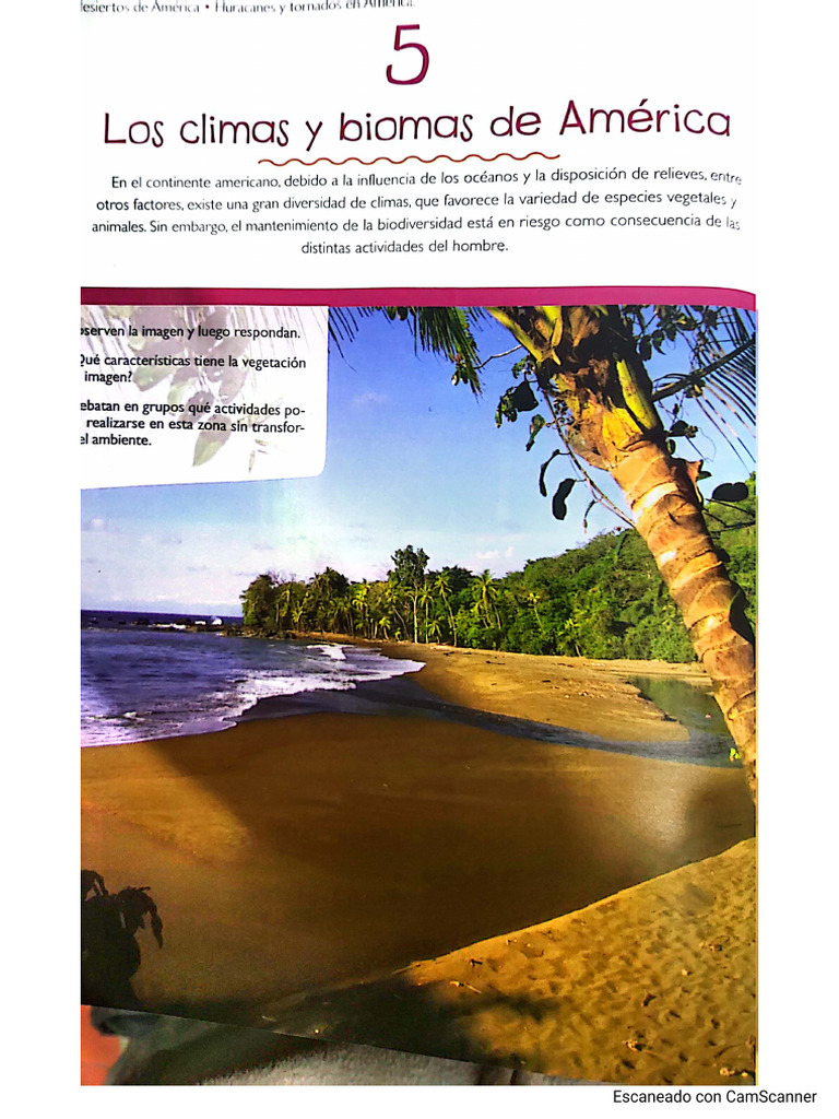 Climas y Biomas de AMÉRICA | PDF
