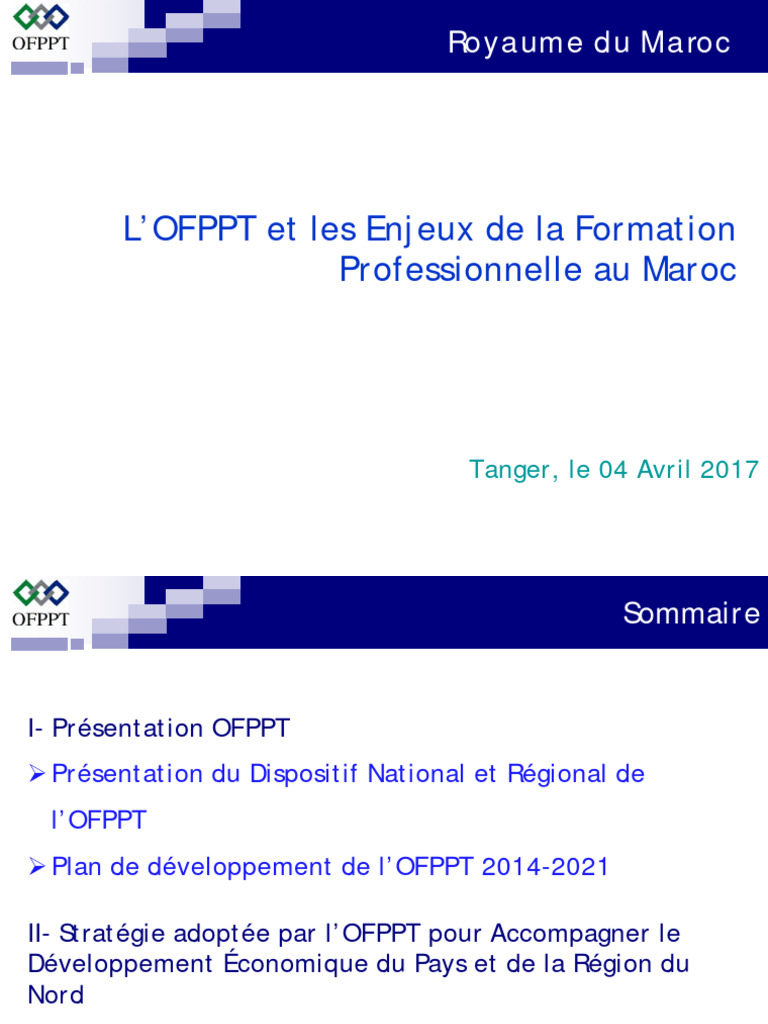 Enjeux de la Formation Professionnelle au Maroc | PDF | Écosystème | Maroc
