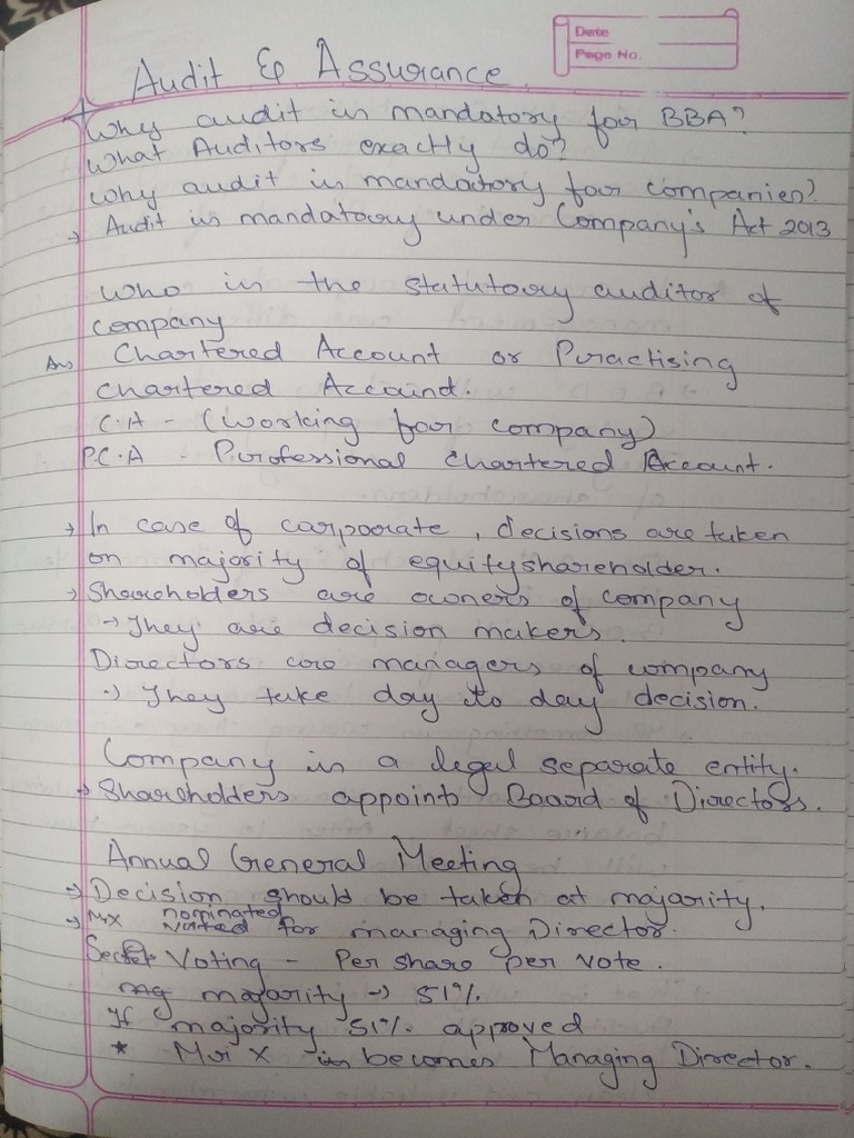 Audit and Assurance Unit 1 Notes | PDF