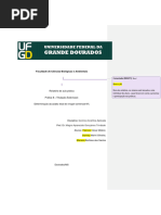 1 Relatório Quimica - Prof - Magno - Biotecnologia - Corrigido