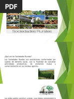 Guía sobre Sociedades de Producción Rural | PDF | Agricultura | Campesino