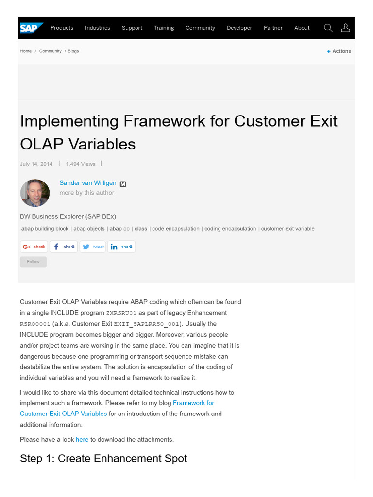Customer Exit OLAP Variables Framework | PDF | Computing | Computer ...