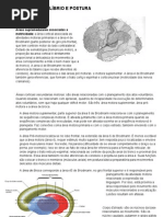 MOTRICIDADE EQUILÍBRIO E POSTURA