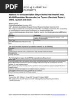 CAP Protocol for Cutaneous SCC | PDF | Carcinoma | Pathology