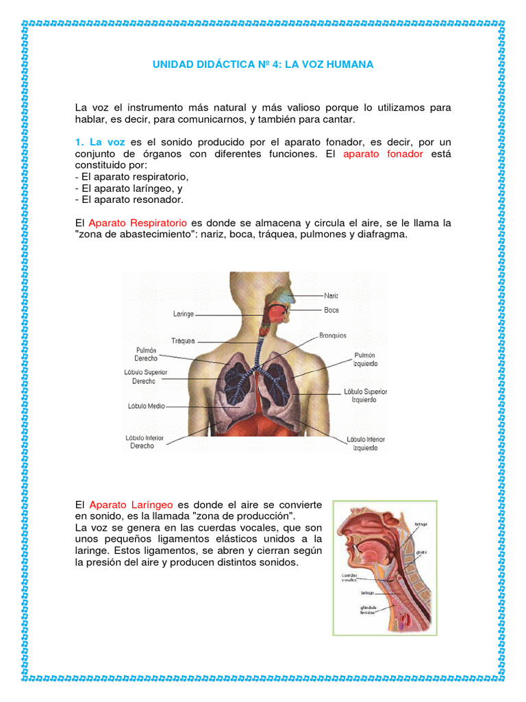 Anatomía y Tipos de Voz Humana | PDF | Coro | Sonido