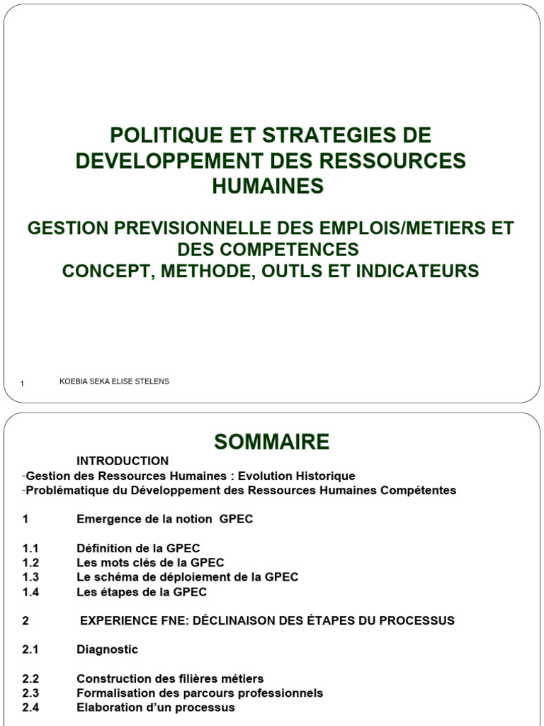 GPEC : Stratégies et Outils de Développement RH | PDF | Gestion des ...