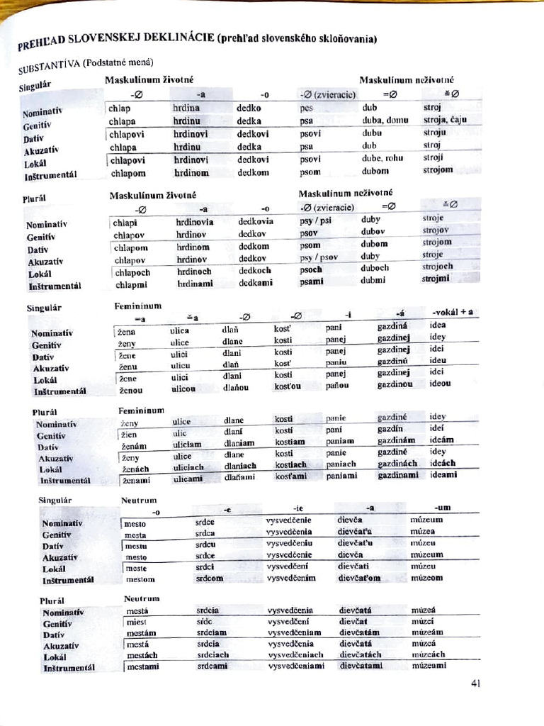 Skloňovanie | PDF