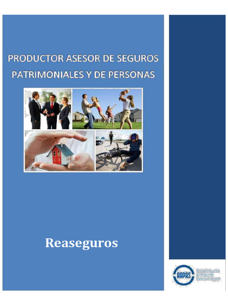 Contrato de Reaseguro: Conceptos Clave | PDF | Reaseguro | Seguro