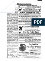American Poultry Journal-1