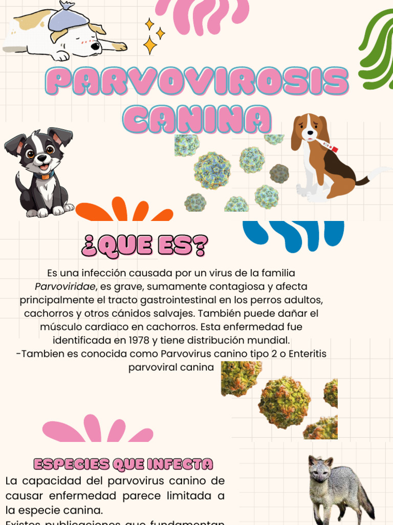 Parvovirosis Canina: Causas y Tratamiento | PDF | Medicina CLINICA ...
