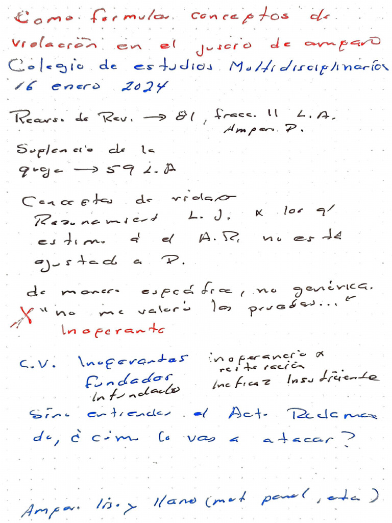 Redacción Conceptos de Violacion | PDF | Causalidad