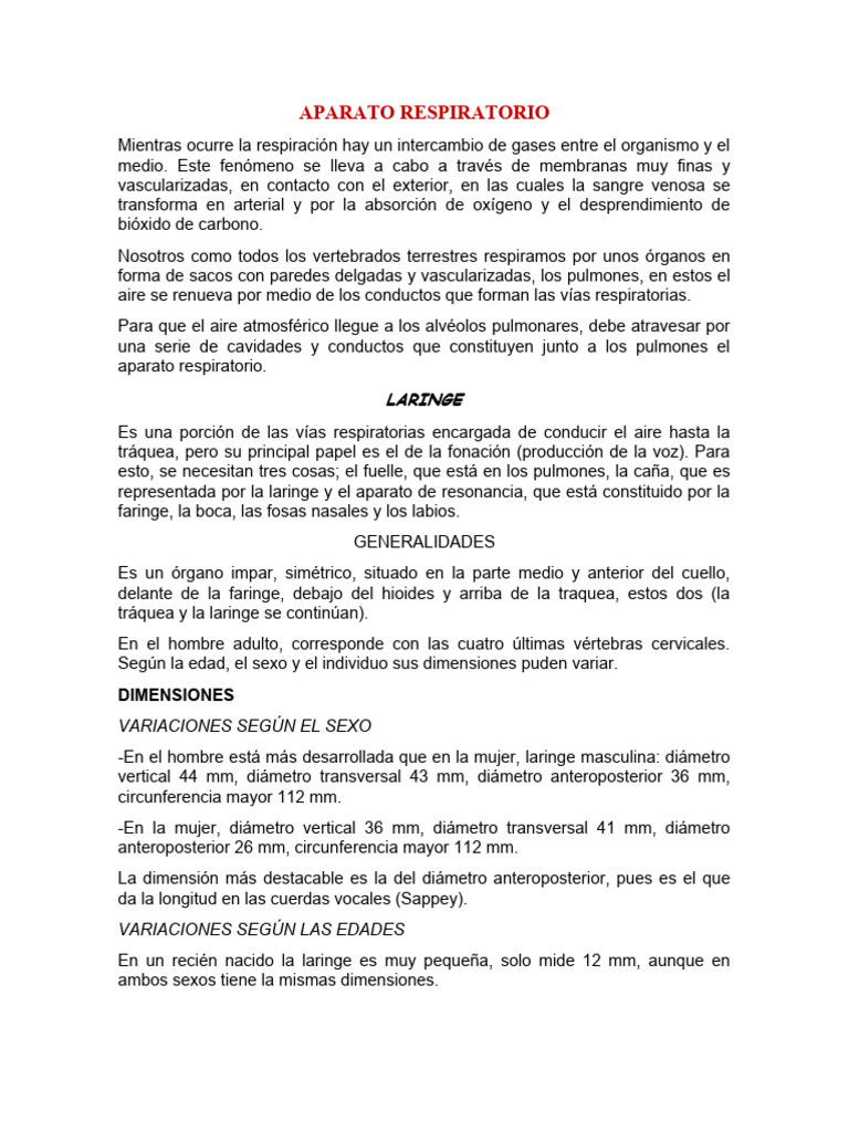 Aparato Respiratorio Laringe Pdf Laringe Cabeza Y Cuello Humanos