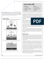 Coal at A Glance 2008