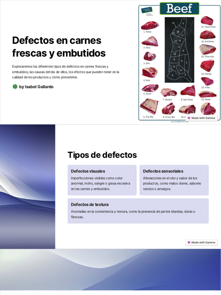 Defectos en Carnes y Embutidos: Causas y Prevención | PDF | Carne