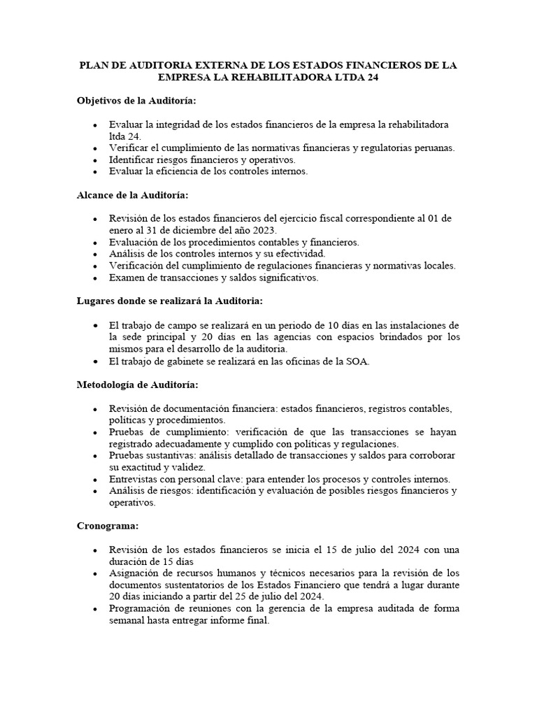 Programa de Auditoria | PDF | Auditoría | Business
