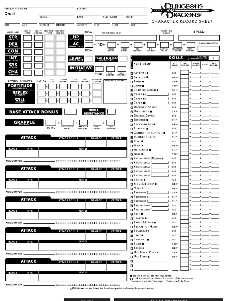 Character Sheet Druid V3 5 Pdf Leisure Activities Dungeons Dragons