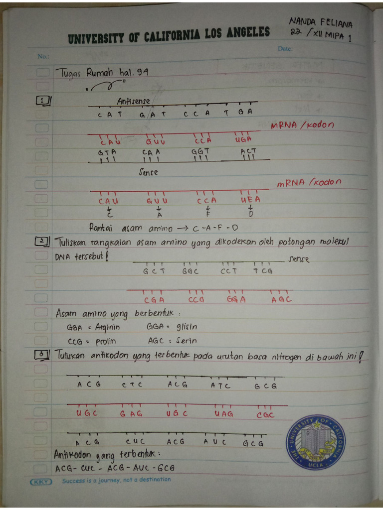 Nanda Bio Tugas Buku Paket Hal. 80&94 | PDF