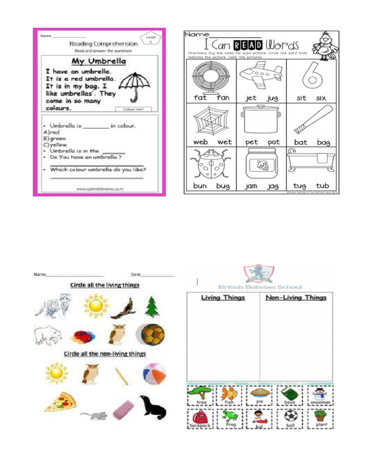 Things Around Us | PDF