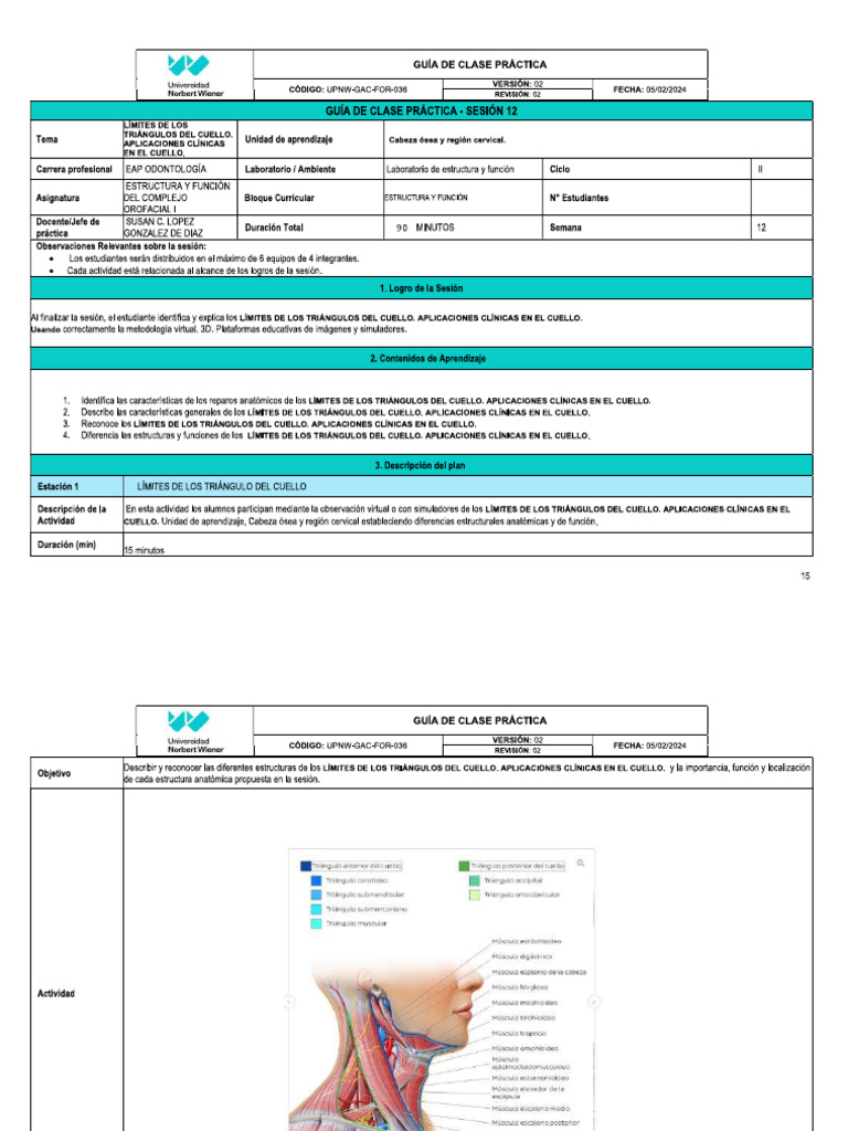 Sesión 12 TC - Guía de Práctica | PDF