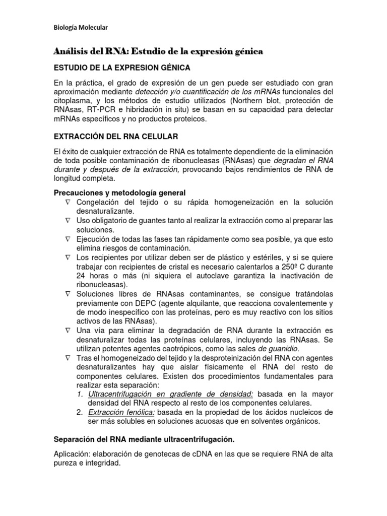 Estudio de la Expresión Génica y RNA | PDF | Reacción en cadena de la ...