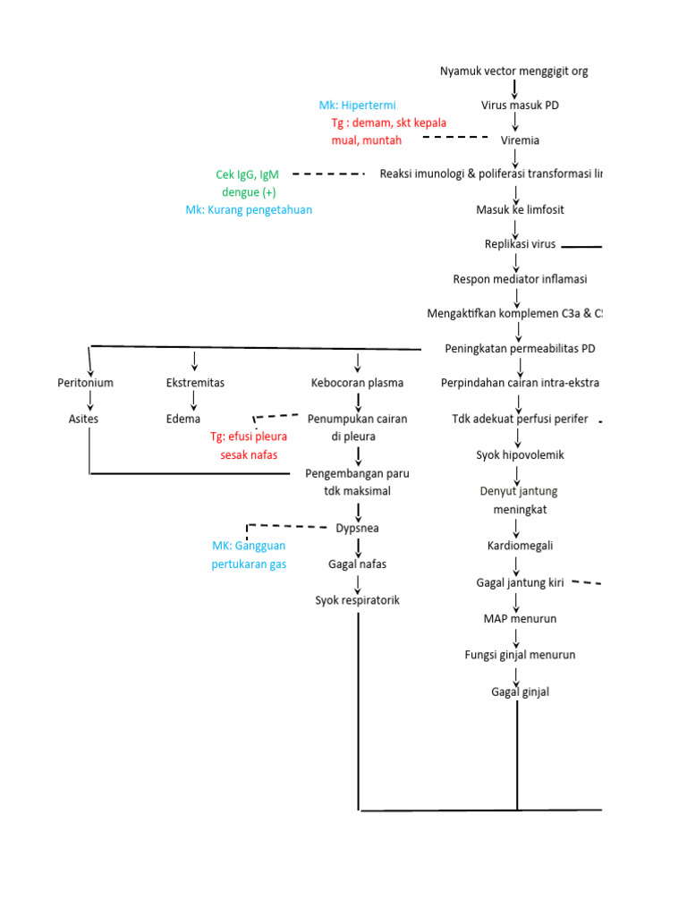 DHF - Patoflow | PDF