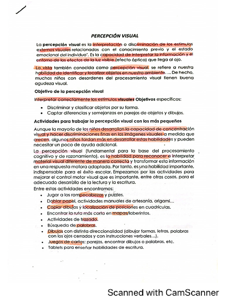 Percepción Visual Pdf