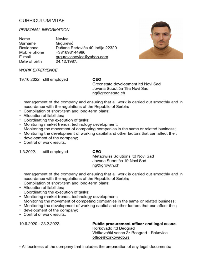 cv-english-pdf-business