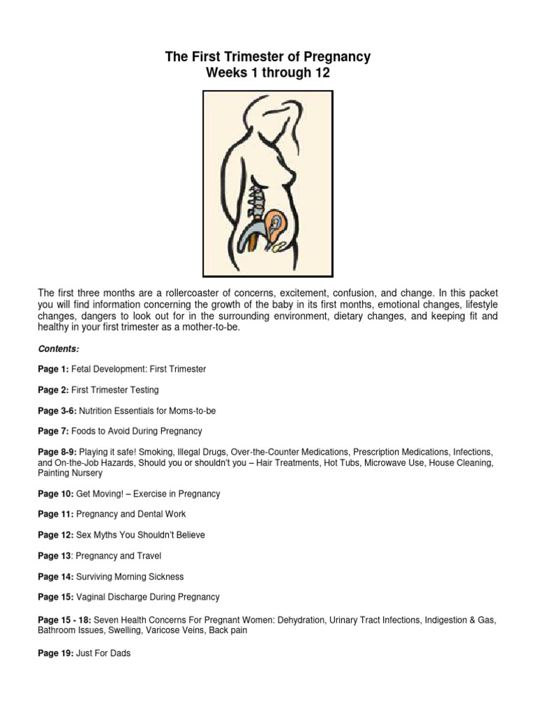 1st Trimester of Pregancy | PDF | Pregnancy | Urinary Tract Infection