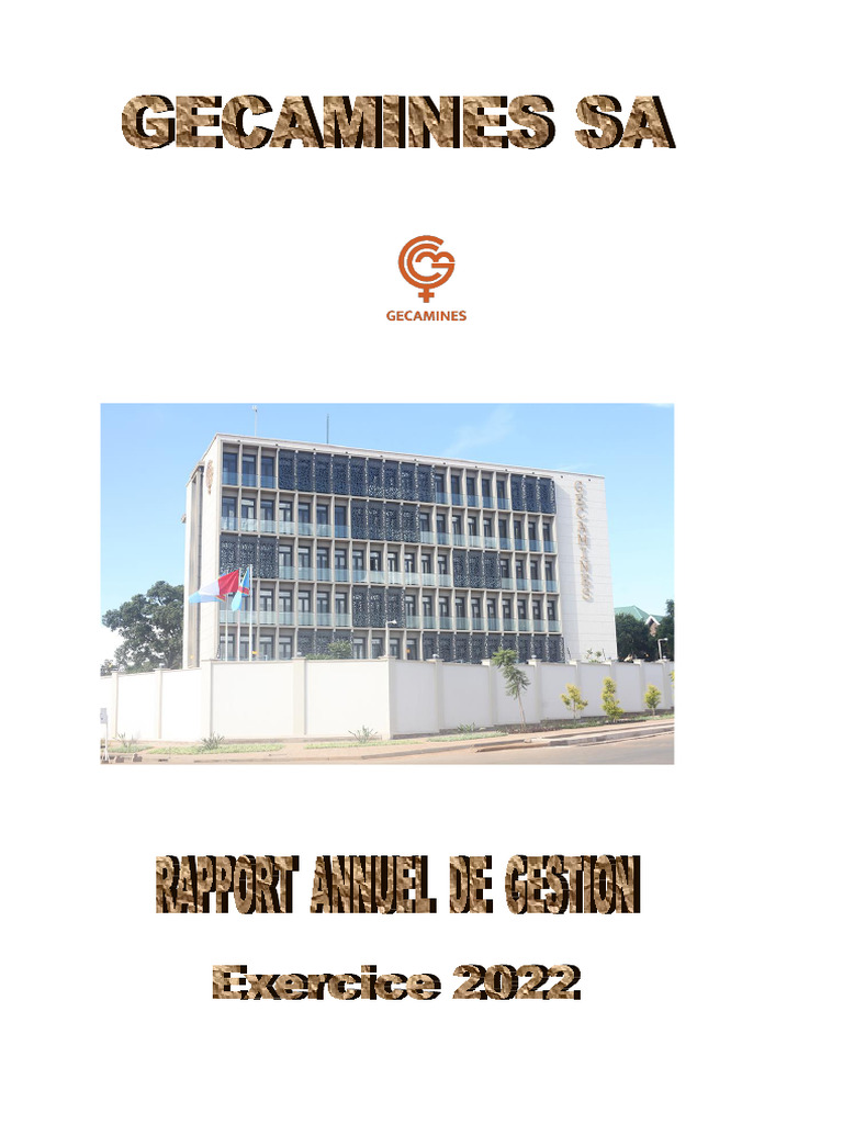 Rapport de Gestion GECAMINES 2022 | PDF | Logiciel | Informatique
