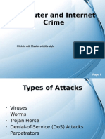 Computer and Internet Crime