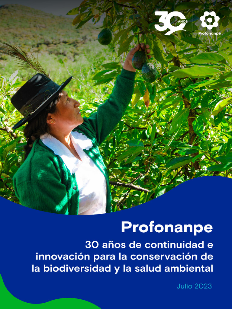 30 Anos De Profonanpe Pdf Deforestación Los Bosques