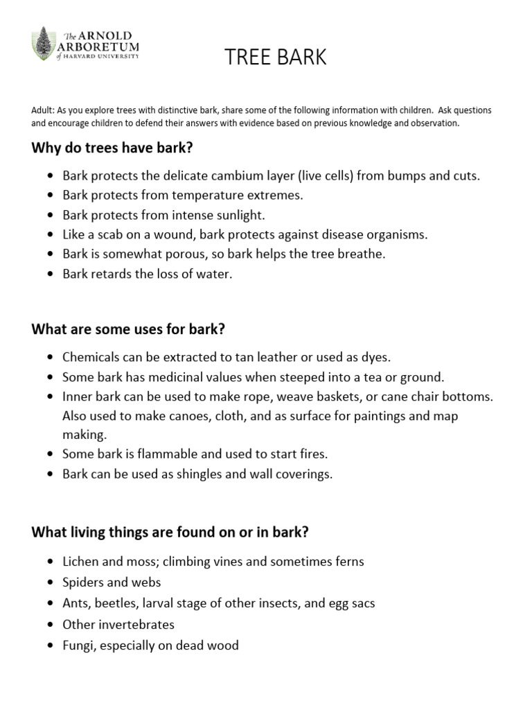 Exploring Tree Bark: Types and Uses | PDF