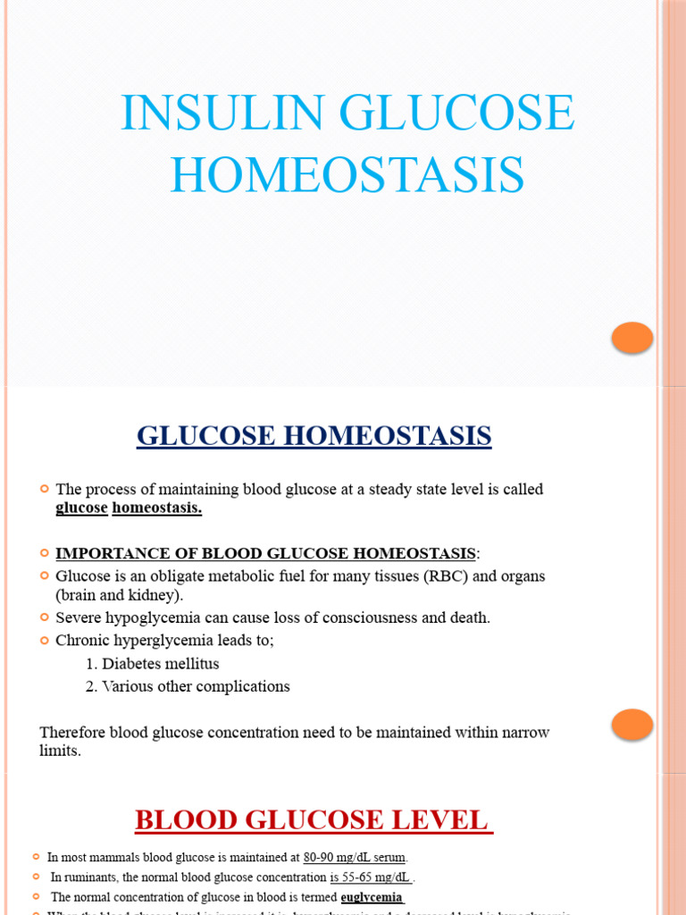 Insulin Glucose Homeostasis Group 6 1 Download Free Pdf Insulin