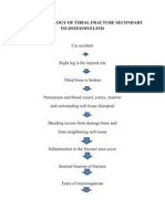 Pa Tho Physiology of Tibial Fracture Secondary To Osteomyelitis