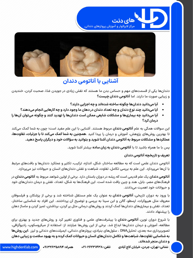 آناتومی دندان، عملکرد و بیماری‌های رایج | PDF