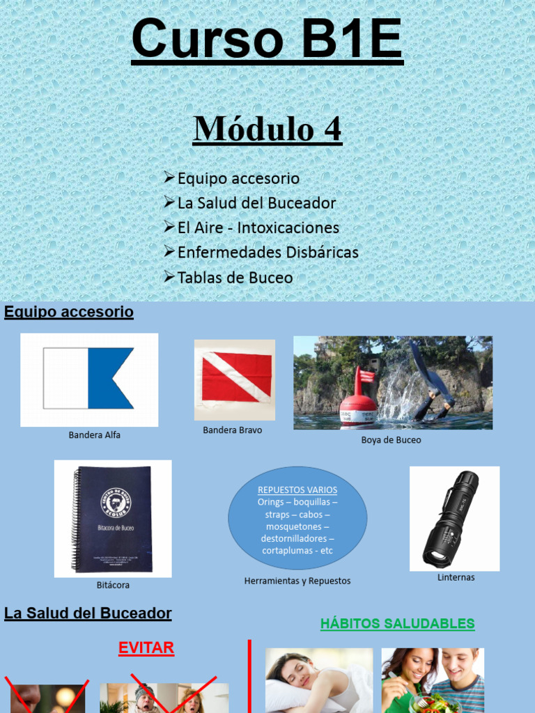 Módulo de Buceo | PDF | Buceo bajo el agua | La seguridad