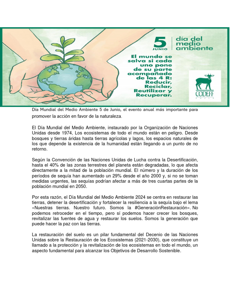 Día Mundial Del Medio Ambiente | PDF | Los bosques | Entorno natural