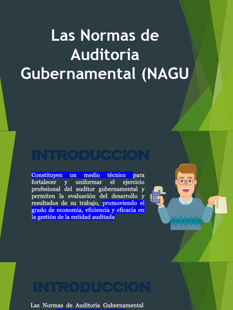 Normas de Auditoria Gubernamental (Nagu) Exponer | Descargar gratis PDF ...